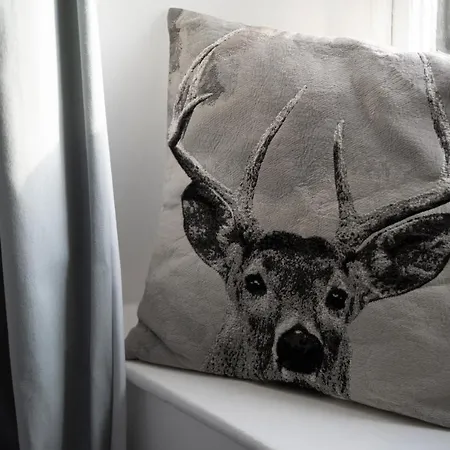 - District In - Ridgestone Windermere