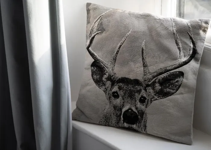 - District In - Ridgestone Windermere